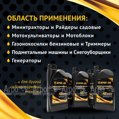 Масло моторное всесезонное полусинтетическое APEK-AS Premium 5W30 (1,0л.) для 4-х тактных двигателей в Москве