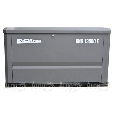 Газовый генератор EVOline GNG 13500 E 12 кВт  в Москве