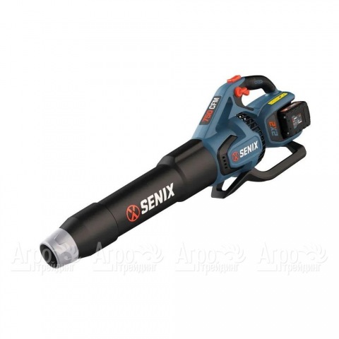 Воздуходувка аккумуляторная Senix BLAX2-M2-EU  в Москве