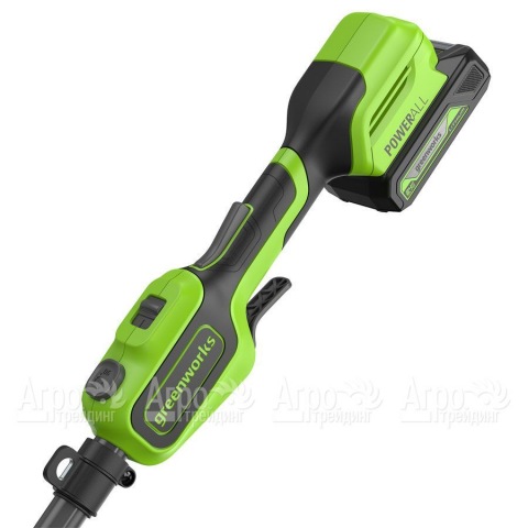 Аккумуляторный триммер GreenWorks GD24LT331 (без аккумулятора и зарядного устройства) в Москве