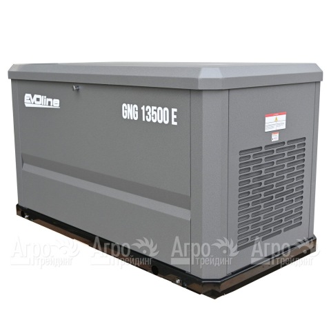 Газовый генератор EVOline GNG 13500 E 12 кВт в Москве