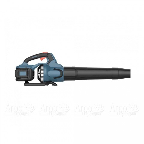 Воздуходувка аккумуляторная Senix BLAX2-M2-EU в Москве